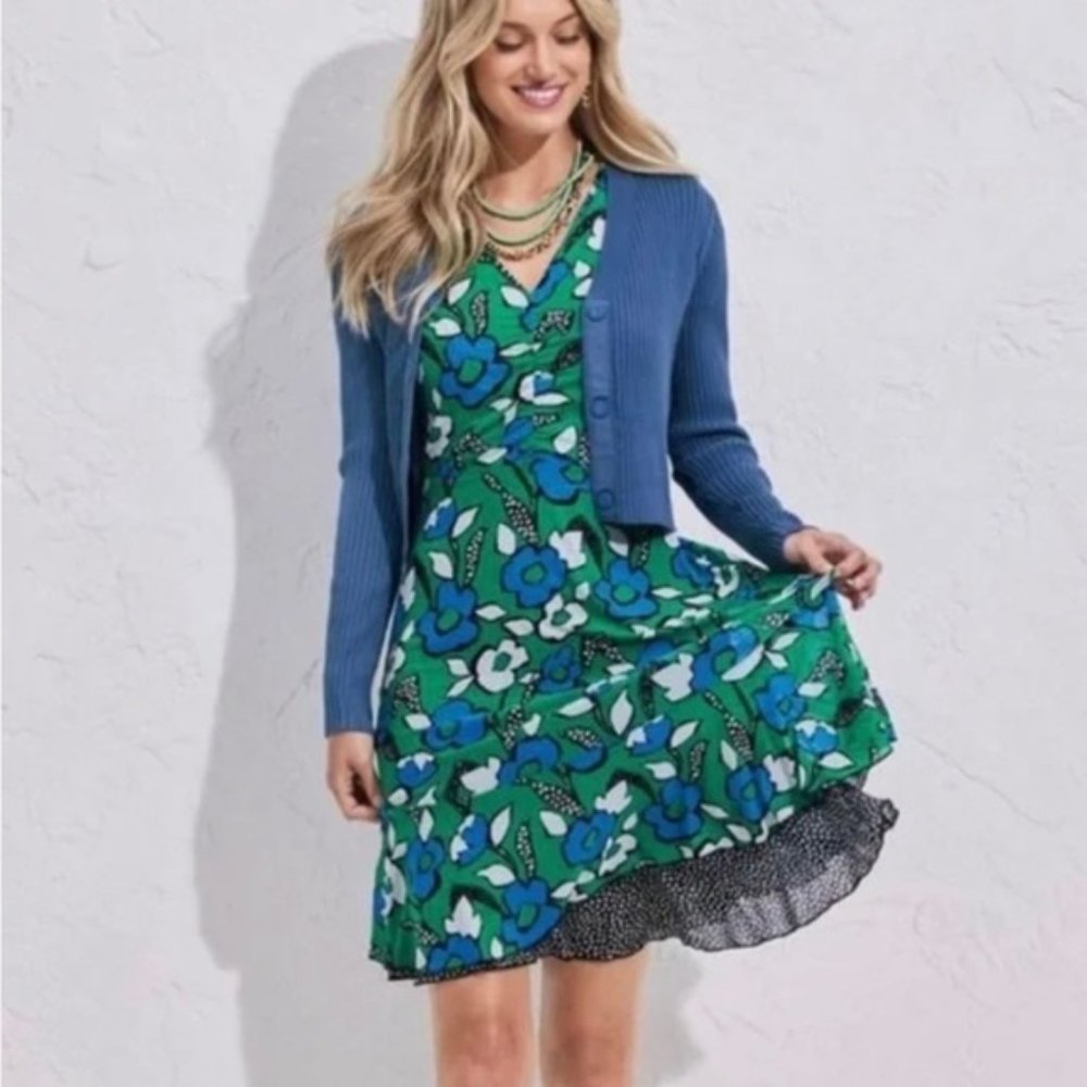 Cabi Celebrate Dress